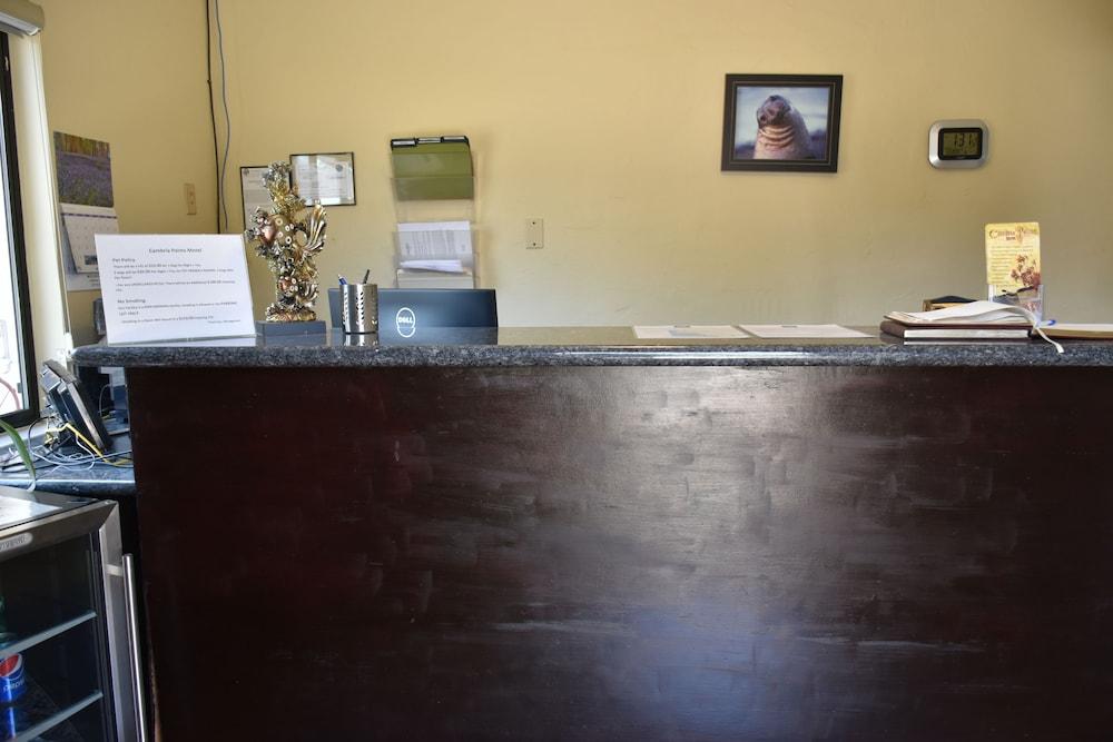 Cambria Palms Motel Bagian luar foto