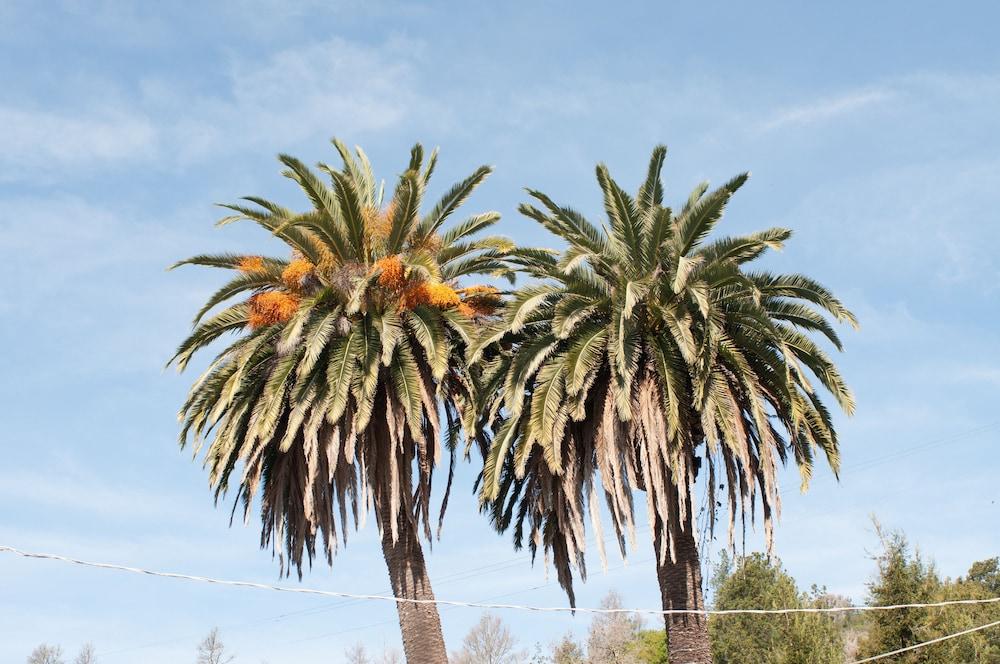Cambria Palms Motel Bagian luar foto