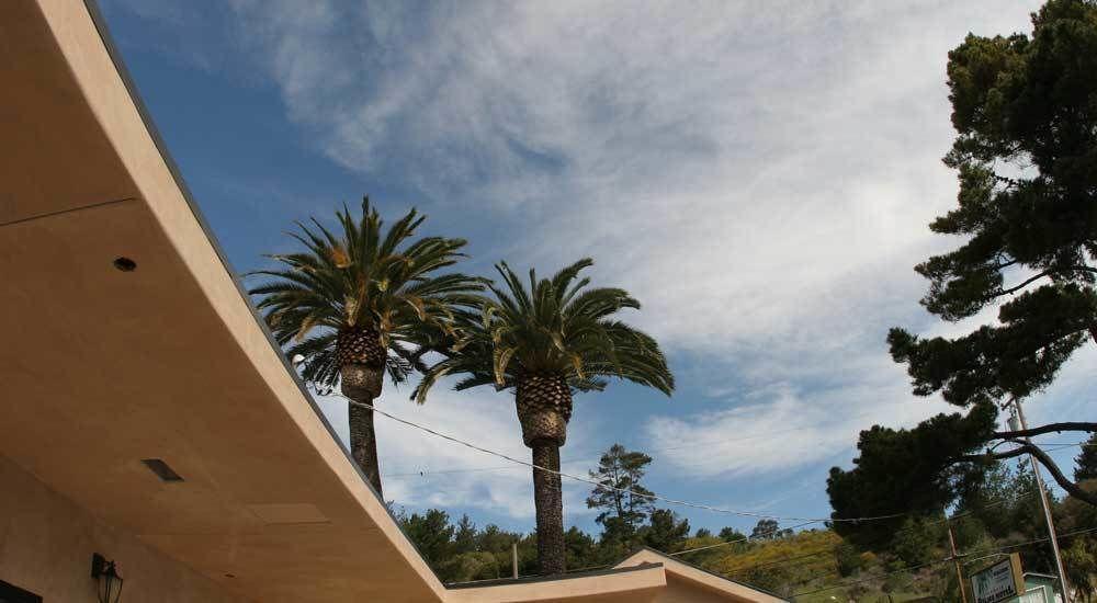 Cambria Palms Motel Bagian luar foto