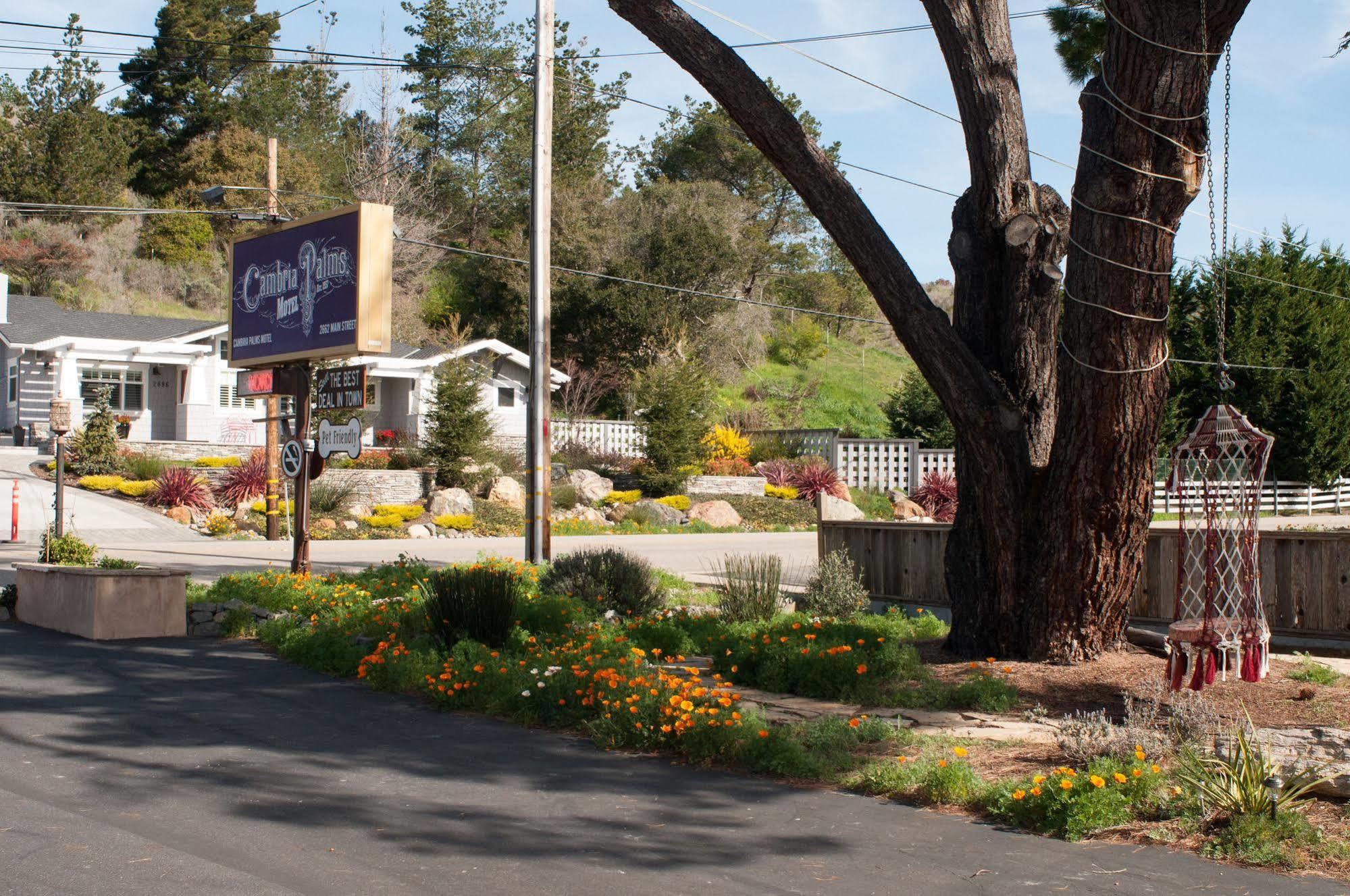 Cambria Palms Motel Bagian luar foto